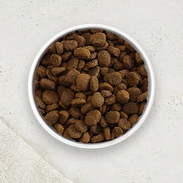 Dry Dog Food