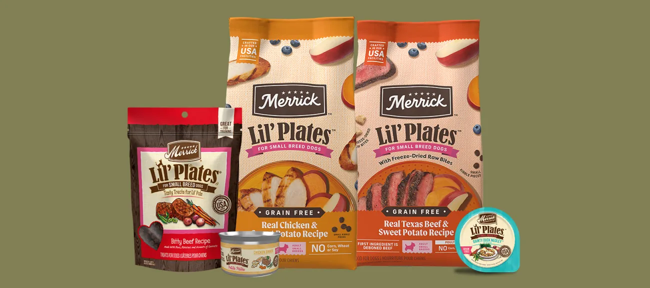 Lil&#039; Plates Dog Food