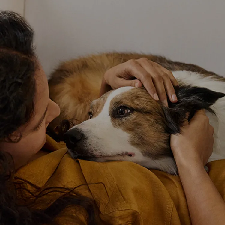 A woman petting a dog