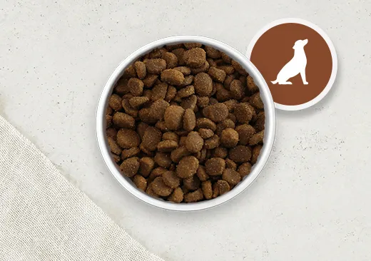 Grain Free Adult Dog Food 
