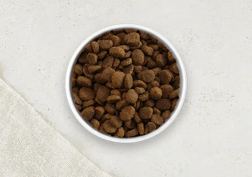 A bowl of dog food