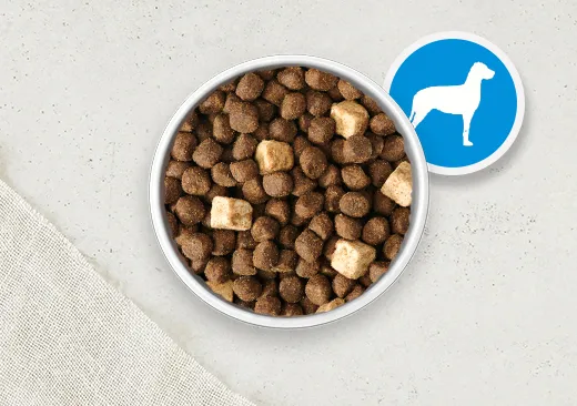 large breed dog food