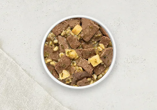 Merrick Healthy Grains Wet Dog Food