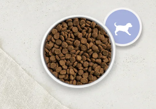Grain Free Puppy Food 