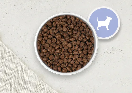 Merrick Small Breed puppy