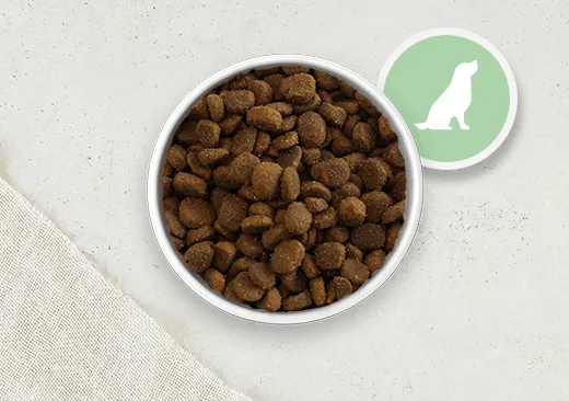Grain Free Senior Dog Food